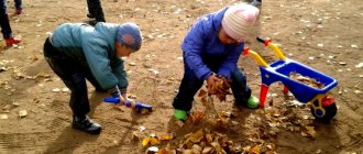 Children cleaning up dry leaves in the yard