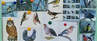 Календарный план образовательной работы на неделю «Зимующие птицы» в старшей группе