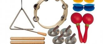 set of musical instruments for children