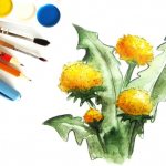 Dandelion drawing for children with pencil and paints