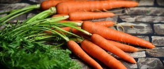 Benefits of carrots