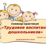 Workshop “Labor education of preschool children” Baldin S.A. RMO for different age groups 