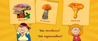 Mushrooms theme: speech games. Guess whose mushroom 