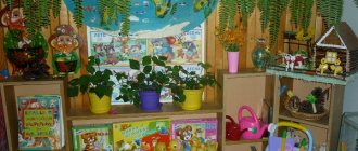 nature corner in kindergarten
