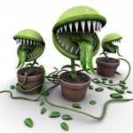 The appearance of some plants can cause fear in a child